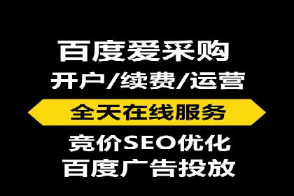 案例分析：SEM推广助力行业竞争突围